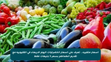 أسعار متغيرة.. تعرف على أسعار الخضراوات اليوم الأربعاء في القليوبية مع تقديم الطماطم بسعر 5 جنيهات فقط
